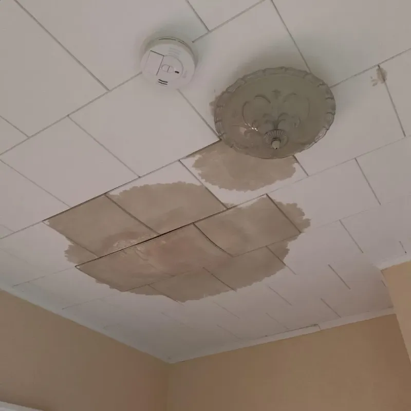 Ceiling Water Damage Repair in White River, SD