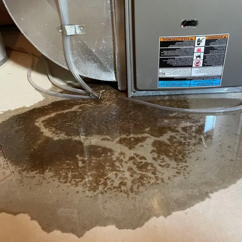 Pipe Burst and Leak Restoration in White River, SD